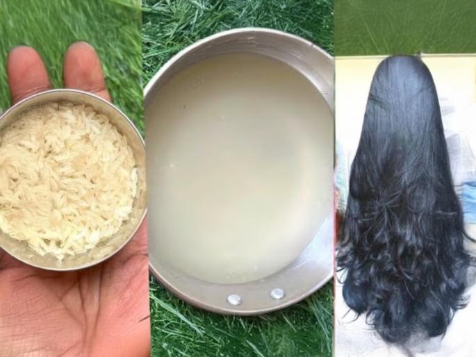 How To Grow Hair Faster : Use Rice Water And Glycerin Like This For Long Hairs | केस वाढतच नाहीत-विरळ झाले? तांदळाच्या पाण्याचा १ उपाय, लांब-घनदाट होतील केस How To Grow Hair Faster : Use Rice Water And Glycerin Like This For Long Hairs | केस वाढतच नाहीत-विरळ झाले? तांदळाच्या पाण्याचा १ उपाय, लांब-घनदाट होतील केस