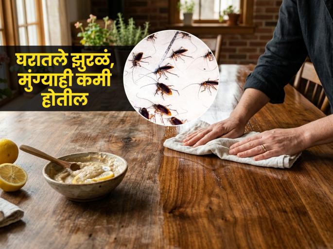 how to clean furniture in kitchen? 2 simple tricks to clean furniture in kitchen to get rid of ants, insects, cockroaches and lizards | किचनमधलं फर्निचर पुसण्याची खास ट्रिक-मुंग्या-चिलटं गायब! फर्निचर दिसेल वर्षानूवर्षे नव्यासारखं how to clean furniture in kitchen? 2 simple tricks to clean furniture in kitchen to get rid of ants, insects, cockroaches and lizards | किचनमधलं फर्निचर पुसण्याची खास ट्रिक-मुंग्या-चिलटं गायब! फर्निचर दिसेल वर्षानूवर्षे नव्यासारखं