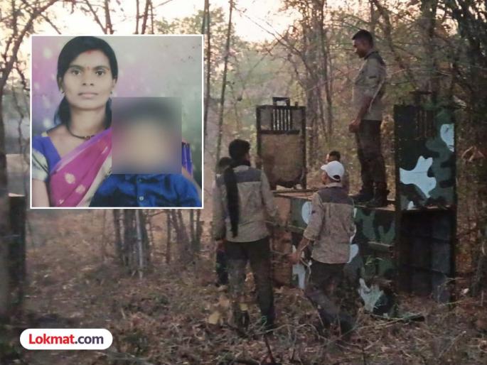 Seven-year-old boy mauled by leopard; body found in pool of blood | सात वर्षीय बालकाला बिबट्याने नेले फरफटत; रक्ताच्या थारोळ्यात आढळला मृतदेह Seven-year-old boy mauled by leopard; body found in pool of blood | सात वर्षीय बालकाला बिबट्याने नेले फरफटत; रक्ताच्या थारोळ्यात आढळला मृतदेह