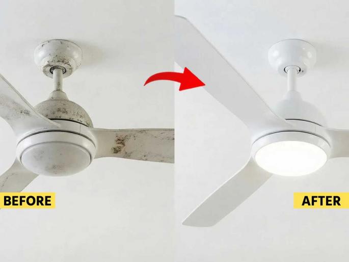 A special trick to clean a fan without A Ladder : No Stool Needed To Clean Fan Easily | स्टूलवर न चढता पंखा स्वच्छ करण्याची खास युक्ती! धुळीनं माखलेला पंखा दिसेल स्वच्छ-नवाकोरा A special trick to clean a fan without A Ladder : No Stool Needed To Clean Fan Easily | स्टूलवर न चढता पंखा स्वच्छ करण्याची खास युक्ती! धुळीनं माखलेला पंखा दिसेल स्वच्छ-नवाकोरा