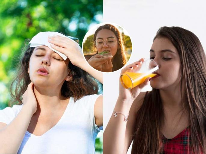 food that helps to reduce heat in body, food that saves us from heatstroke, how to keep body cool in hot summer | उन्हाचा कडाका आणखी वाढणार! उष्माघाताचा त्रास टाळणारे 'हे' पदार्थ आताच घरात आणून ठेवा food that helps to reduce heat in body, food that saves us from heatstroke, how to keep body cool in hot summer | उन्हाचा कडाका आणखी वाढणार! उष्माघाताचा त्रास टाळणारे 'हे' पदार्थ आताच घरात आणून ठेवा