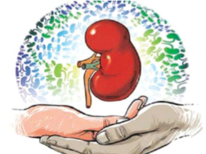 149 donors donated organs in Maharashtra and 146 in Gujarat | शाब्बास महाराष्ट्र...! जाता जाता १४९ जणांनी दिली जगण्याची आशा 149 donors donated organs in Maharashtra and 146 in Gujarat | शाब्बास महाराष्ट्र...! जाता जाता १४९ जणांनी दिली जगण्याची आशा