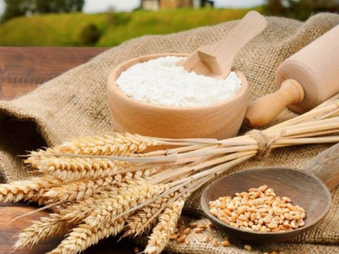 Daily sales of 250 tons of wheat, 400 tons of Maida, flour in Chhatrapati Sambhajinagar | छत्रपती संभाजीनगरात दररोज २५० टन गहू, ४०० टन मैदा, आट्याची विक्री  Daily sales of 250 tons of wheat, 400 tons of Maida, flour in Chhatrapati Sambhajinagar | छत्रपती संभाजीनगरात दररोज २५० टन गहू, ४०० टन मैदा, आट्याची विक्री