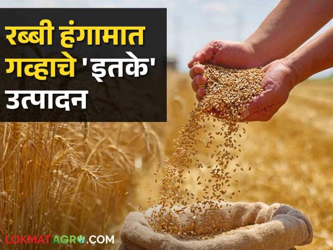 Latest News 112 million MT wheat production in 2024 rabbi season see details | Wheat Import : गव्हाच्या आयातीबाबत शुल्करचनेत बदल नाही, अन्न व सार्वजनिक पुरवठा विभागाचे स्पष्टीकरण  Latest News 112 million MT wheat production in 2024 rabbi season see details | Wheat Import : गव्हाच्या आयातीबाबत शुल्करचनेत बदल नाही, अन्न व सार्वजनिक पुरवठा विभागाचे स्पष्टीकरण