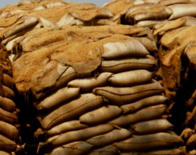 Stop the supply of poor wheat from 'Warehouse' | 'वखार'च्या गोदामातून खराब गव्हाची उचल थांबविली! Stop the supply of poor wheat from 'Warehouse' | 'वखार'च्या गोदामातून खराब गव्हाची उचल थांबविली!