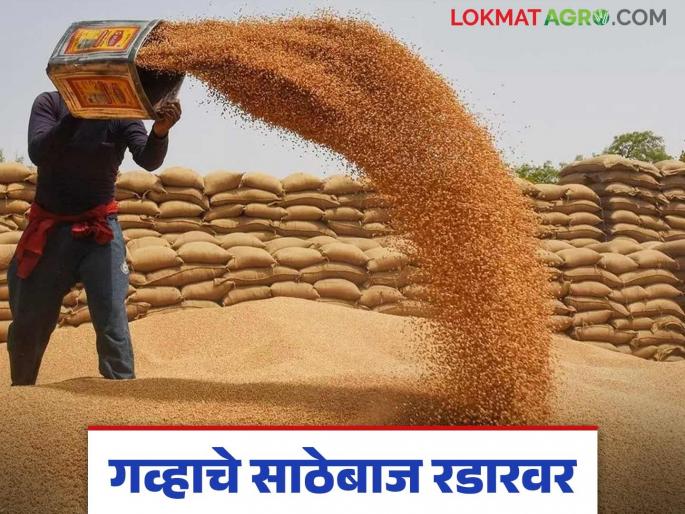 Wheat Market Update: State government orders inspection of godowns; Read the reason in detail | Wheat Market Update: गोदामांची तपासणीचे राज्य शासनाचे आदेश; काय आहे कारण वाचा सविस्तर Wheat Market Update: State government orders inspection of godowns; Read the reason in detail | Wheat Market Update: गोदामांची तपासणीचे राज्य शासनाचे आदेश; काय आहे कारण वाचा सविस्तर