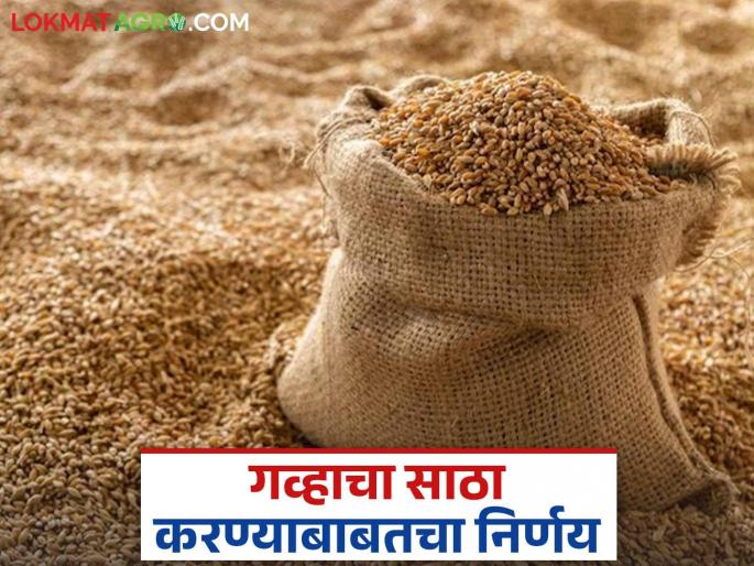 Latest News Announce wheat stock status from April 1, orders the Center government | Agriculture News : आता प्रत्येक शुक्रवारी गव्हाच्या साठ्याची माहिती द्यावी लागेल, केंद्राचे आदेश Latest News Announce wheat stock status from April 1, orders the Center government | Agriculture News : आता प्रत्येक शुक्रवारी गव्हाच्या साठ्याची माहिती द्यावी लागेल, केंद्राचे आदेश