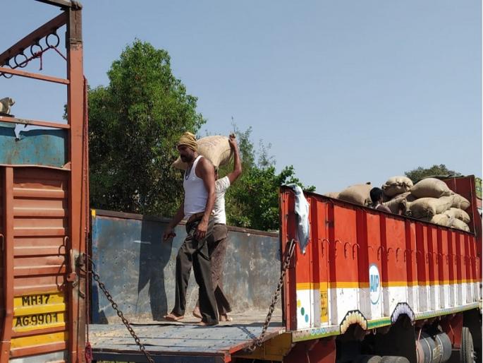 Lumped wheat worth Rs. 11 lacks seized with accused from Kalamb | लंपास केलेल्या ११ लाखांच्या ४५८ क्विंटल गव्हासह आरोपी ताब्यात