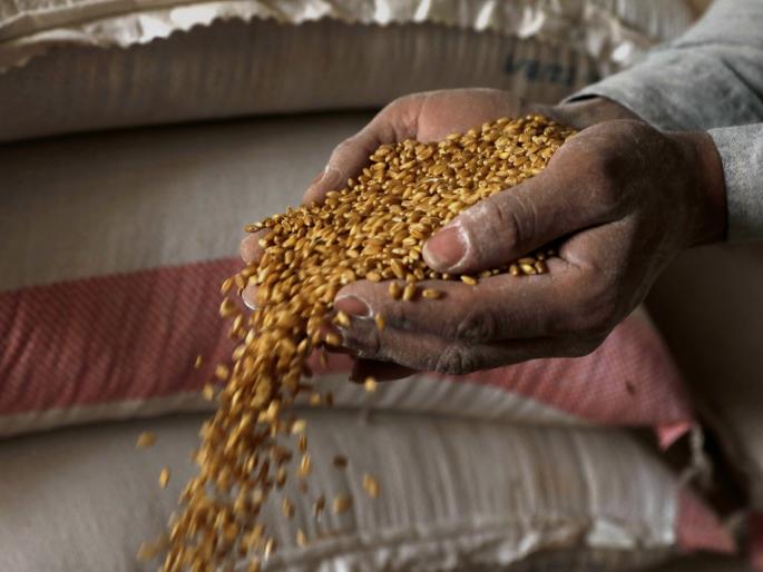 russia ukraine war and its impact on wheat | आजचा अग्रलेख: युद्धात गहू अडकला!