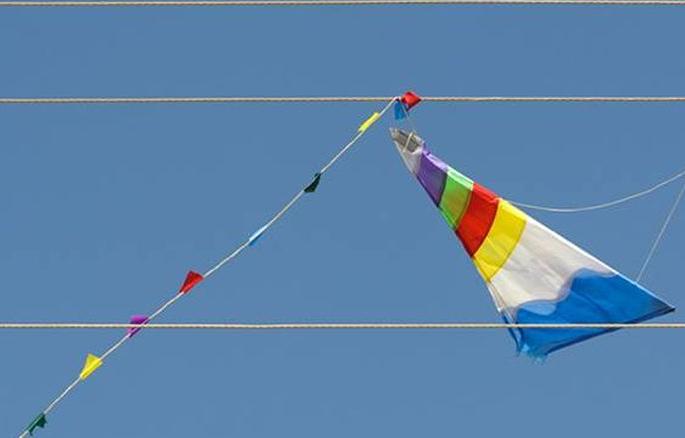 When flying a kite, stay away from the power system! | पतंग उडवताना वीज यंत्रणेपासून राहा चार हात लांब! When flying a kite, stay away from the power system! | पतंग उडवताना वीज यंत्रणेपासून राहा चार हात लांब!