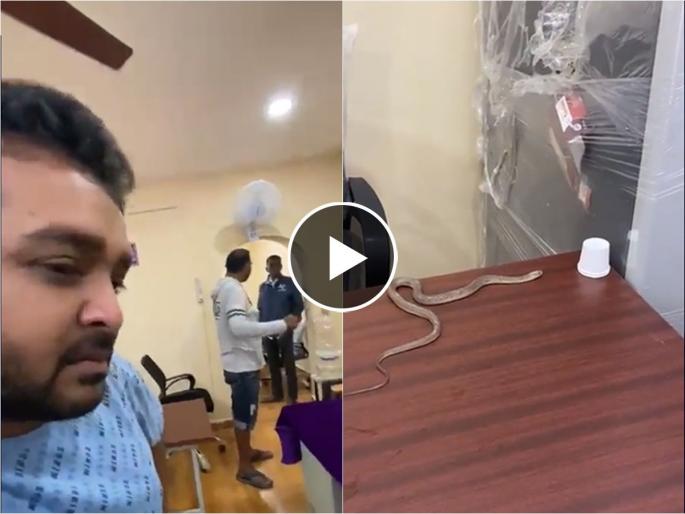 When the government officials ignored the complaint, a resident released a snake in the GHMC ward office at Alwal, Hyderabad | ६ तास वाट पाहूनही सरकारी अधिकाऱ्यांकडून कानाडोळा; संतप्त व्यक्तीने ऑफिसमध्येच सोडला साप When the government officials ignored the complaint, a resident released a snake in the GHMC ward office at Alwal, Hyderabad | ६ तास वाट पाहूनही सरकारी अधिकाऱ्यांकडून कानाडोळा; संतप्त व्यक्तीने ऑफिसमध्येच सोडला साप