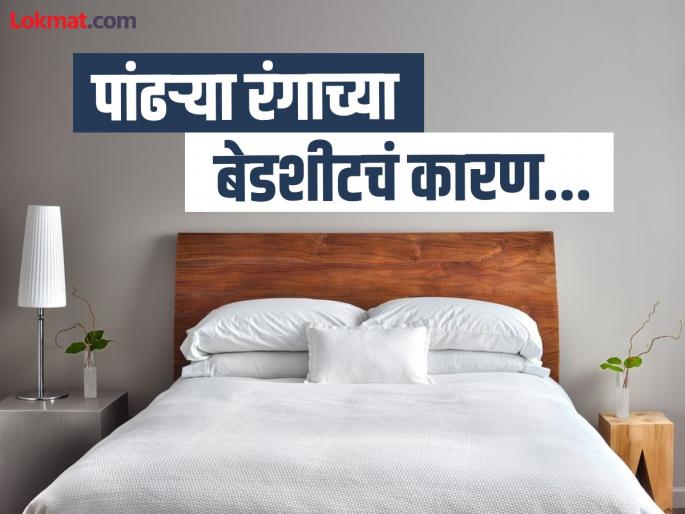 Why do hotel mostly have white bed sheets? Find out why... | हॉटेलमधील बेडवर जास्तकरून पांढऱ्या रंगाचीच बेडशीट का असते? जाणून घ्या कारण...