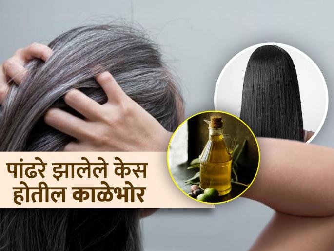 what should we mix with coconut oil to turn white hair black | अरेरे! लहान वयात केस पिकले, नारळाच्या तेलात 'हे' मिसळा; चिंता सोडा, पांढऱ्या केसांना टाटा करा