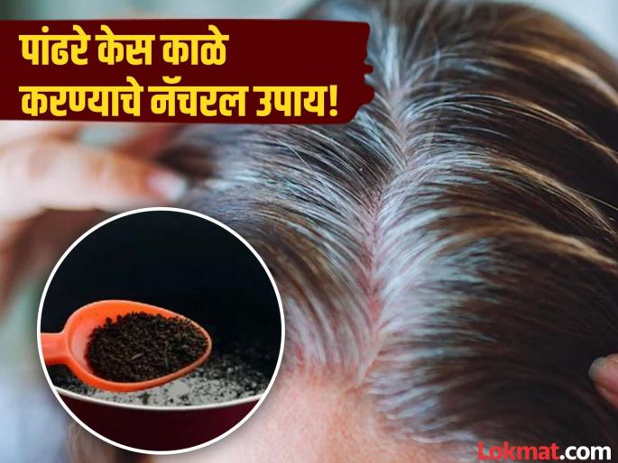 White hair home Remedies how to darken white hair at home | ना जास्त खर्च, ना केमिकल्सचा वापर नॅचरल पद्धतीने काही दिवसात काळे होतील पांढरे केस!