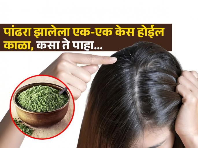 Doctor tells how to use indigo powder to make white hair black | पांढरा झालेला एक-एक केस होईल पुन्हा काळा, करा 'हा' आयुर्वेदिक उपाय मग बघा कमाल