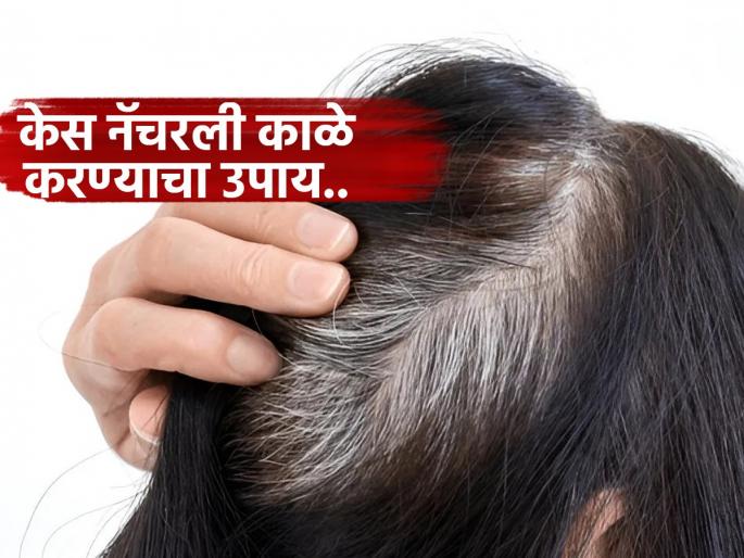 Yoga expert share home remedies to darken white hair | अकाली पांढरे झालेले केस काळे करण्याचा रामबाण उपाय, कही दिवसातच दिसून येईल फरक...