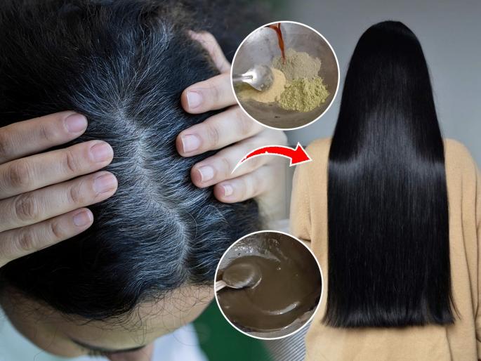 Premature gray hair Solution : Home Remedies for Premature gray hair white hairs solution | ऐन तारुण्यात केस पांढरे झालेत? स्वयंपाकघरातील हा पदार्थ लावा; डाय न वापरता काळे होतील केस