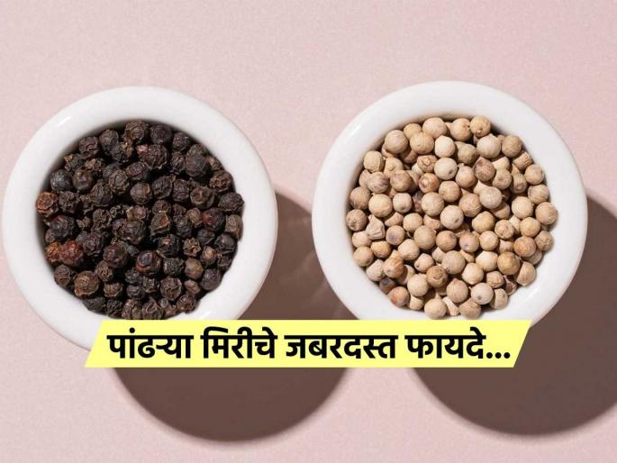 Benefits of white pepper with medicinal properties | काळी मिरीच नाही तर पांढऱ्या मिरीही आरोग्यासाठी ठरते वरदान, पाहा काय काय मिळतात फायदे