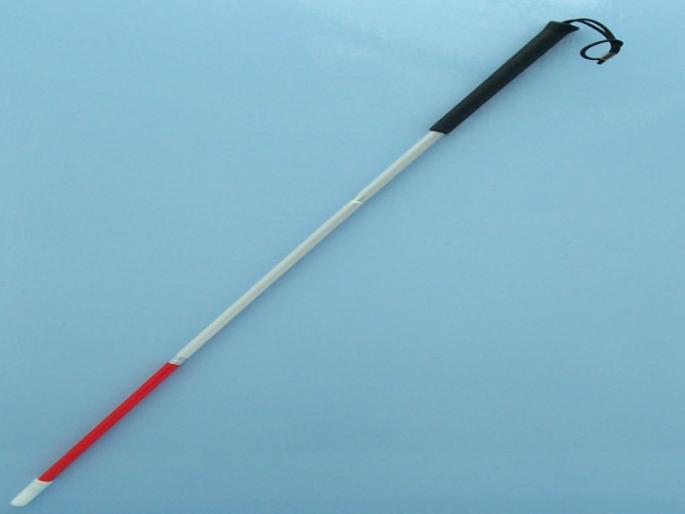 'White kothi' day's success story | ‘पांढरी काठी’दिनी दिव्यांगांची यशोगाथा 'White kothi' day's success story | ‘पांढरी काठी’दिनी दिव्यांगांची यशोगाथा