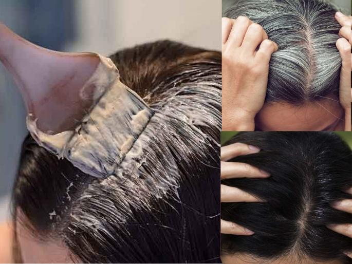how to turn white hair into black naturally at home without dye best kitchen ingredients to stop premature white hair Ayurvedic tips for reversing white hair naturally | केसांना डाय नकोच! स्वयंपाकघरातील ४ पदार्थ अकाली पिकणारे केस करतील काळेभोर- पांढरे केस धाग्यासारखे चमकणार नाहीच.. how to turn white hair into black naturally at home without dye best kitchen ingredients to stop premature white hair Ayurvedic tips for reversing white hair naturally | केसांना डाय नकोच! स्वयंपाकघरातील ४ पदार्थ अकाली पिकणारे केस करतील काळेभोर- पांढरे केस धाग्यासारखे चमकणार नाहीच..