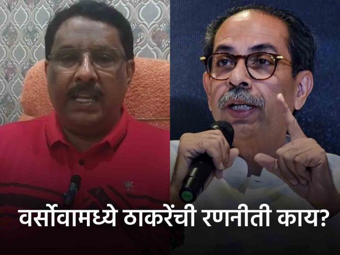 Maharashtra Assembly Election 2024 who is Harun Khan candidate of Shiv Sena UBT from Versova Assembly | Harun Khan: ठाकरेंनी उतरवला अल्पसंख्याक उमेदवार, कोण आहेत हारुन खान? Maharashtra Assembly Election 2024 who is Harun Khan candidate of Shiv Sena UBT from Versova Assembly | Harun Khan: ठाकरेंनी उतरवला अल्पसंख्याक उमेदवार, कोण आहेत हारुन खान?