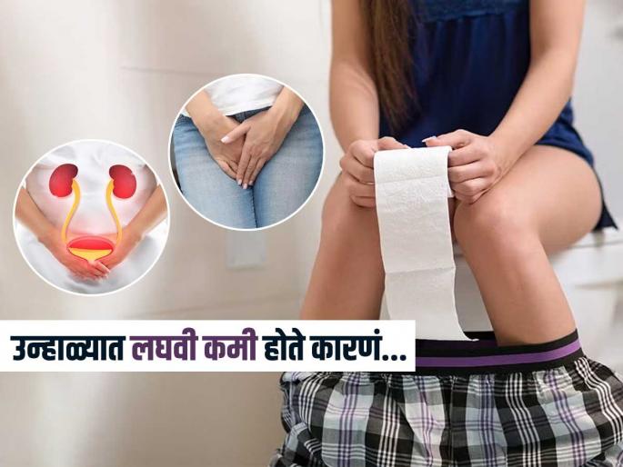 why urinate less in summer less urine in hot weather why do you urinate less during summer | उन्हाळ्यात भरपूर पाणी पिऊनही लघवी कमी होते, ५ गोष्टींकडे दुर्लक्ष करू नका-पाहा नेमकं काय बिघडतंय... why urinate less in summer less urine in hot weather why do you urinate less during summer | उन्हाळ्यात भरपूर पाणी पिऊनही लघवी कमी होते, ५ गोष्टींकडे दुर्लक्ष करू नका-पाहा नेमकं काय बिघडतंय...