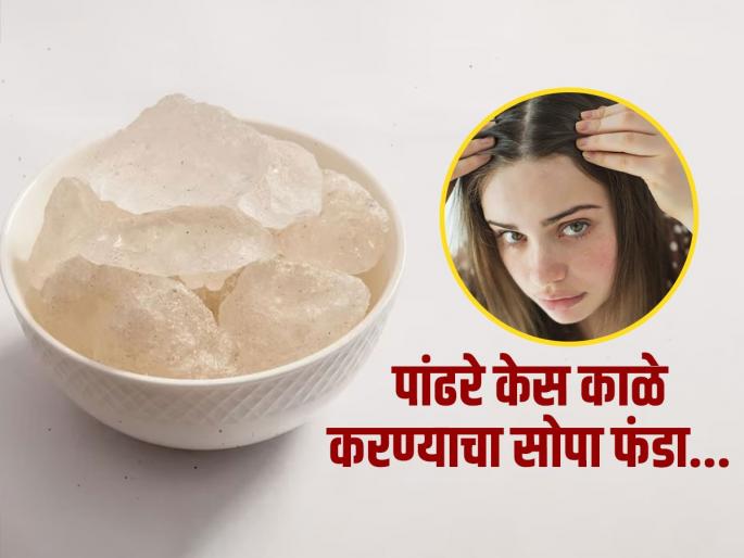 Mix these 3 things with alum to turn white hair in black | तुरटीच्या पाण्यात ‘या’ ३ गोष्टी घालून केसांना लावा, पांढऱ्या केसांमुळे वैतागला असाल तर काही दिवसात पाहा फरक