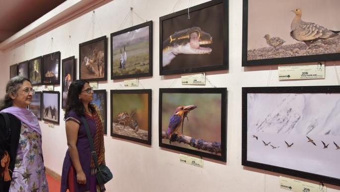 The supernatural beauty of the nature from the camera's lens | कॅमेऱ्याच्या लेन्समधून निसर्गाचे अलौकिक सौंदर्य