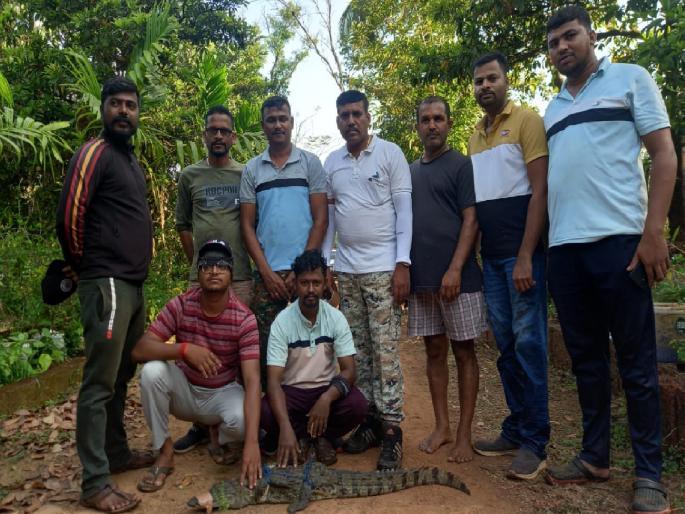 'Wild Life Rescuer Sindhudurg' This organization has been helping various animals and birds for the past eight years | गुड न्यूज: 'वाईल्ड लाईफ रेस्क्यूअर सिंधुदुर्ग' ठरताहेत मुक्या जीवांचे देवदूत.. 'Wild Life Rescuer Sindhudurg' This organization has been helping various animals and birds for the past eight years | गुड न्यूज: 'वाईल्ड लाईफ रेस्क्यूअर सिंधुदुर्ग' ठरताहेत मुक्या जीवांचे देवदूत..