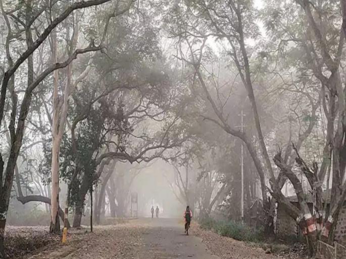 Pune and The cold will be felt throughout the Maharashtra Winter | Maharashtra Winter : पुण्यात हुडहुडी..! राज्यभर थंडीचा कडाका जाणवणार Pune and The cold will be felt throughout the Maharashtra Winter | Maharashtra Winter : पुण्यात हुडहुडी..! राज्यभर थंडीचा कडाका जाणवणार