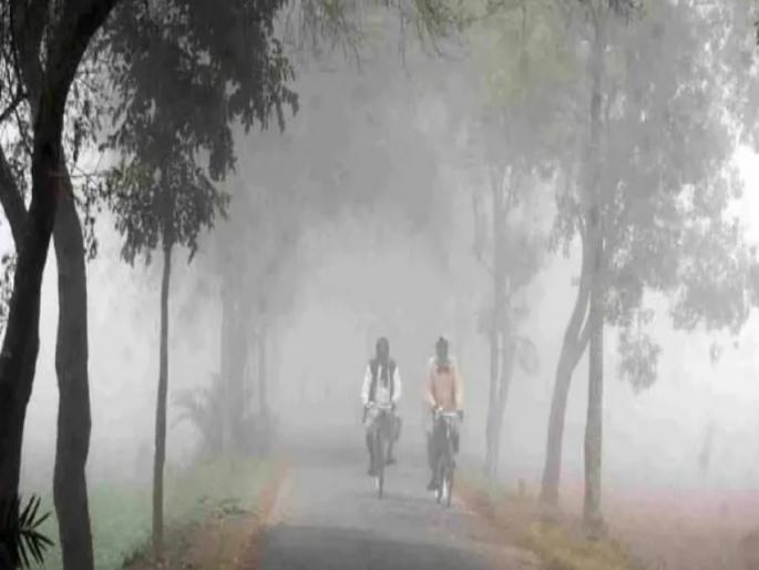 The cloudy weather has cleared from the maharashtra now the cold will gradually increase! | Maharashtra Winter: राज्यातून ढगाळ वातावरण निवळले, आता हळूहळू वाढणार थंडी! The cloudy weather has cleared from the maharashtra now the cold will gradually increase! | Maharashtra Winter: राज्यातून ढगाळ वातावरण निवळले, आता हळूहळू वाढणार थंडी!