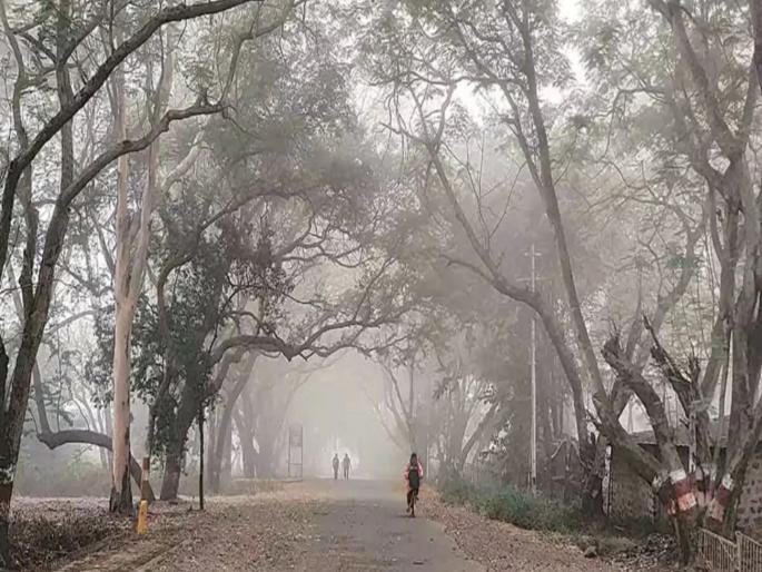 maharashtra winter in nashik at 13 degrees increase in cold in Pune too | Maharashtra Winter: राज्यात हुडहुडी! नाशिकला पारा १३ अंशावर, पुण्यातही थंडीमध्ये वाढ maharashtra winter in nashik at 13 degrees increase in cold in Pune too | Maharashtra Winter: राज्यात हुडहुडी! नाशिकला पारा १३ अंशावर, पुण्यातही थंडीमध्ये वाढ