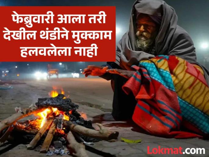 Frosty in the morning, chilly in the afternoon! Cold likely to increase in the next few days | Maharashtra Winter Update: सकाळी गारवा, दुपारी चटका! पुढील काही दिवसात थंडीत वाढ होण्याची शक्यता Frosty in the morning, chilly in the afternoon! Cold likely to increase in the next few days | Maharashtra Winter Update: सकाळी गारवा, दुपारी चटका! पुढील काही दिवसात थंडीत वाढ होण्याची शक्यता