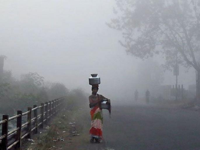 The harshness of the cold grew in the destroyer; 11.1 degree is the lowest temperature of this season nashik | नाशकात वाढला थंडीचा कडाका; ११.१अंश या हंगामातील नीचांकी तापमान The harshness of the cold grew in the destroyer; 11.1 degree is the lowest temperature of this season nashik | नाशकात वाढला थंडीचा कडाका; ११.१अंश या हंगामातील नीचांकी तापमान