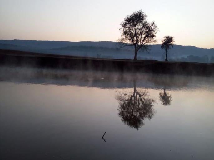 Nashik saw 6 degrees and Niphad mercury at 2.4 degrees | नाशिकमध्ये तापमान 6 अंश, तर निफाडचा पारा 2.4 अंशांवर Nashik saw 6 degrees and Niphad mercury at 2.4 degrees | नाशिकमध्ये तापमान 6 अंश, तर निफाडचा पारा 2.4 अंशांवर