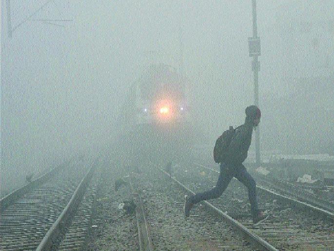 dense fog in 15 states nothing visible in front 150 flights 14 trains delayed in delhi | १५ राज्यांत दाट धुके... समोरचे काहीच दिसेना; दिल्लीत १५० उड्डाणे, १४ रेल्वेंना उशीर dense fog in 15 states nothing visible in front 150 flights 14 trains delayed in delhi | १५ राज्यांत दाट धुके... समोरचे काहीच दिसेना; दिल्लीत १५० उड्डाणे, १४ रेल्वेंना उशीर