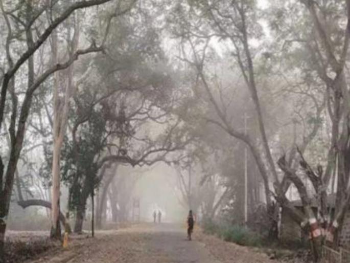 Maharashtra Weather Updates Slight drop in minimum temperature, cold wave will increase again in the state | Maharashtra Weather Updates : किमान तापमानात किंचित घट; राज्यामध्ये थंडीचा कडाका पुन्हा वाढणार Maharashtra Weather Updates Slight drop in minimum temperature, cold wave will increase again in the state | Maharashtra Weather Updates : किमान तापमानात किंचित घट; राज्यामध्ये थंडीचा कडाका पुन्हा वाढणार