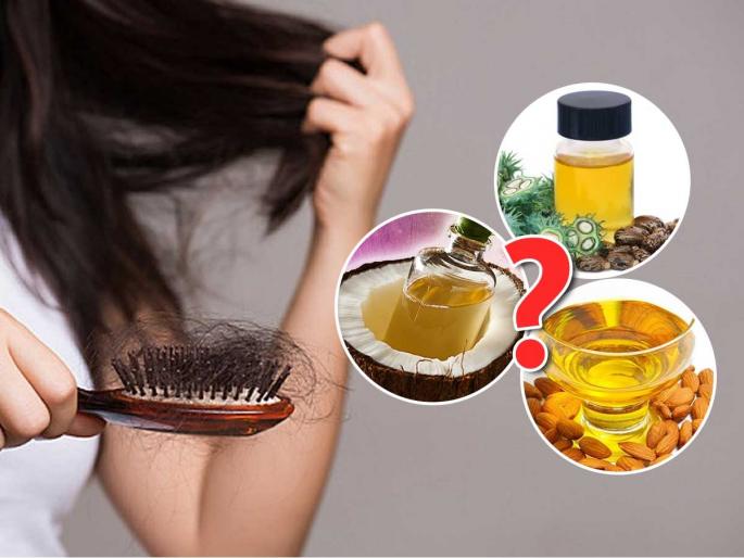Which oil is best for winter hair fall Coconut vs almond oil for hair Ayurvedic tips for hair growth in winter Natural oils to stop hair fall in cold weather | भयंकर केसगळती- सारखे तुटतात? 'हे' आयुर्वेदिक तेल करेल जादू- हिवाळ्यात कोरड्या-रखरखीत केसांपासून होईल सुटका Which oil is best for winter hair fall Coconut vs almond oil for hair Ayurvedic tips for hair growth in winter Natural oils to stop hair fall in cold weather | भयंकर केसगळती- सारखे तुटतात? 'हे' आयुर्वेदिक तेल करेल जादू- हिवाळ्यात कोरड्या-रखरखीत केसांपासून होईल सुटका