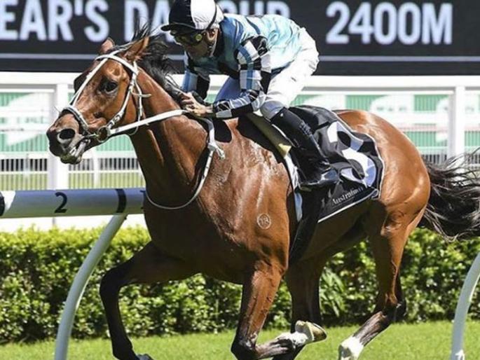 This horse name Winx is the best horse in the world | 'ही' आहे जगातली सर्वात वेगवान घोडी, रेसमध्ये जिंकलेली रक्कम वाचून व्हाल थक्क! This horse name Winx is the best horse in the world | 'ही' आहे जगातली सर्वात वेगवान घोडी, रेसमध्ये जिंकलेली रक्कम वाचून व्हाल थक्क!