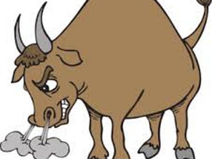 Woman dies after hitting bull | वळूच्या धडकेत महिलेचा मृत्यू Woman dies after hitting bull | वळूच्या धडकेत महिलेचा मृत्यू