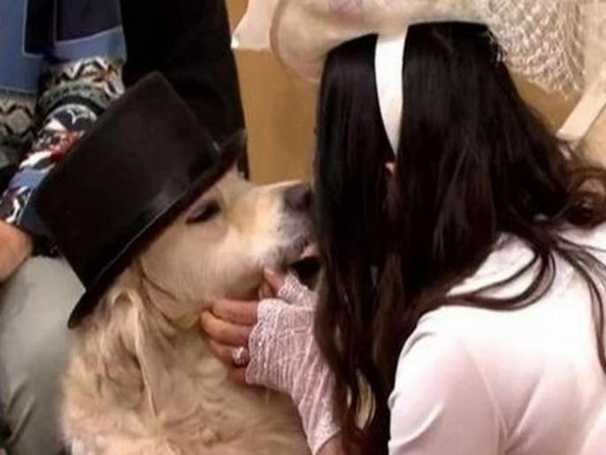 This morning people stunned as a woman marries her dog live on the show | 'या' प्रसिद्ध मॉडेलनं केलं कुत्र्याशी लग्न; टीव्हीवर सोहळ्याचं थेट प्रक्षेपण! This morning people stunned as a woman marries her dog live on the show | 'या' प्रसिद्ध मॉडेलनं केलं कुत्र्याशी लग्न; टीव्हीवर सोहळ्याचं थेट प्रक्षेपण!