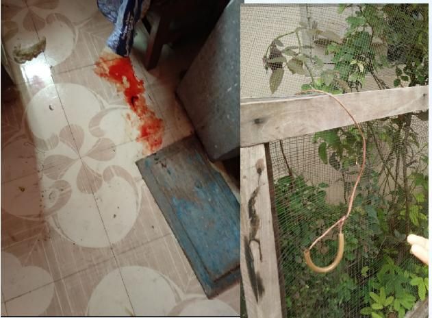 Attempt to kill mother and dauther in Nagpur | नागपुरात मायलेकीची हत्या करण्याचा प्रयत्न Attempt to kill mother and dauther in Nagpur | नागपुरात मायलेकीची हत्या करण्याचा प्रयत्न
