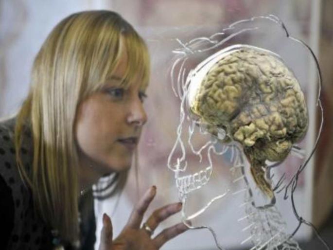 Why are women more capable of multitasking secret lies in the structure of the brain | महिलांमध्ये मल्टिटास्किंग क्षमता अधिक का? मेंदूच्या रचनेमध्ये दडले आहे यामागचे रहस्य Why are women more capable of multitasking secret lies in the structure of the brain | महिलांमध्ये मल्टिटास्किंग क्षमता अधिक का? मेंदूच्या रचनेमध्ये दडले आहे यामागचे रहस्य