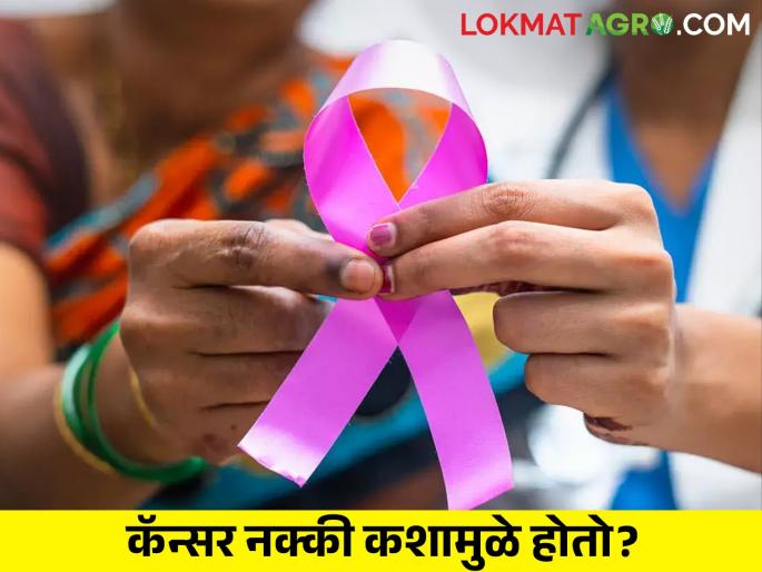 Farmer women; Identify the risk in time and prevent cancer | शेतकरी महिलांनो; वेळीच ओळखा धोका अन् कॅन्सरला रोखा Farmer women; Identify the risk in time and prevent cancer | शेतकरी महिलांनो; वेळीच ओळखा धोका अन् कॅन्सरला रोखा