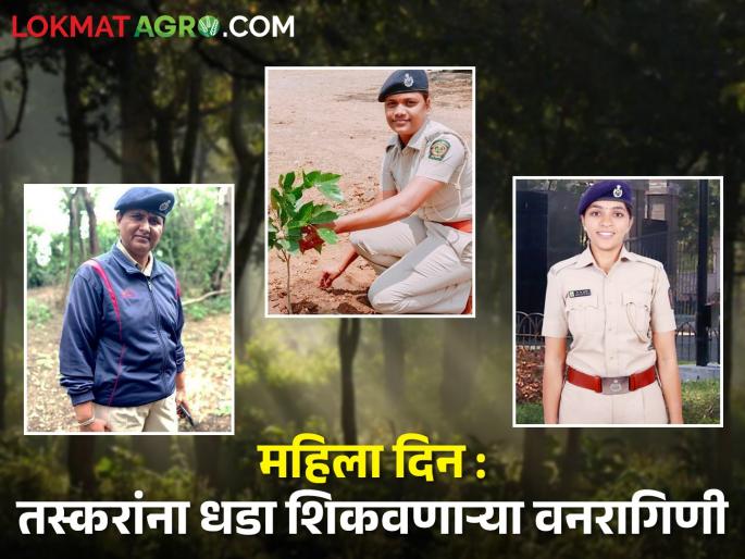 Latest News Fighting Women Forest Guard in Forest Department of nashik | Women's Day : जल, जंगल, जमिनीला सांभाळणाऱ्या अन् खैर तस्करांना धडा शिकवणाऱ्या वनरागिणी Latest News Fighting Women Forest Guard in Forest Department of nashik | Women's Day : जल, जंगल, जमिनीला सांभाळणाऱ्या अन् खैर तस्करांना धडा शिकवणाऱ्या वनरागिणी