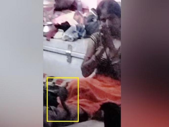 The cobra was tied on its feet for 3 hours, the women continued to worship Shivashankar, finally... | पायावर ३ तास वेटोळे घालून होता कोब्रा, महिला करत राहिली शिवशंकराची आराधना, अखेर... The cobra was tied on its feet for 3 hours, the women continued to worship Shivashankar, finally... | पायावर ३ तास वेटोळे घालून होता कोब्रा, महिला करत राहिली शिवशंकराची आराधना, अखेर...