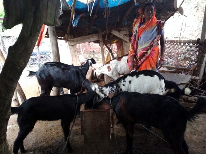 Neither the land nor the husband; women beat the poverty with the help of a group of savings | ना जमीन ना नवऱ्याची सोबत; केवळ बचत गटाच्या साथीनेच केली महिलेने दारिद्र्यावर मात