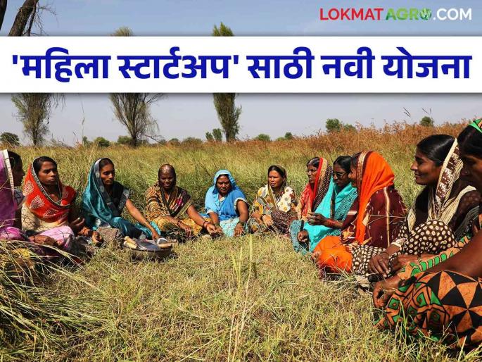 Government Schemes for Women Entrepreneurs: This new scheme for women startups will get financial support of up to 25 lakhs | Government Schemes for Women Entrepreneurs: महिलांच्या स्टार्टअप साठी आली हि नवी योजना मिळणार २५ लाखांपर्यंत अर्थसहाय्य Government Schemes for Women Entrepreneurs: This new scheme for women startups will get financial support of up to 25 lakhs | Government Schemes for Women Entrepreneurs: महिलांच्या स्टार्टअप साठी आली हि नवी योजना मिळणार २५ लाखांपर्यंत अर्थसहाय्य