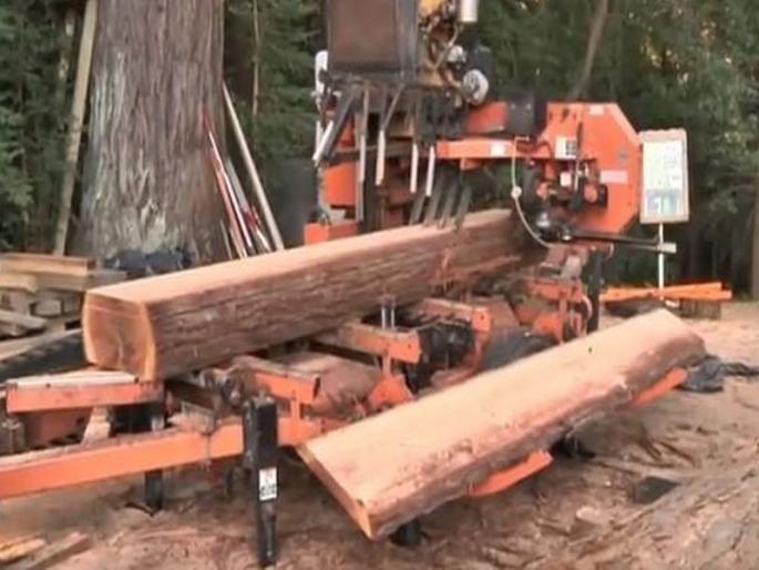 56 raag raids from the Pollution Control Board, role of forest department | प्रदूषण नियंत्रण मंडळाकडून ५६ आरागिरण्या सील, वनविभागाची बघ्याची भूमिका