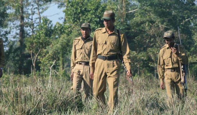 World Ranger Day: The backbone of the forest department, the ranger is neglected | World Ranger Day : वनखात्याचा कणा रेंजर दुर्लक्षितच World Ranger Day: The backbone of the forest department, the ranger is neglected | World Ranger Day : वनखात्याचा कणा रेंजर दुर्लक्षितच